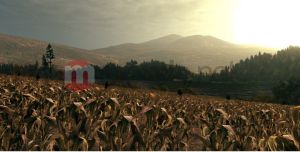 Call Of Juarez: Więzy Krwi 7