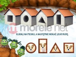 Domisie Kolorowy PC 5