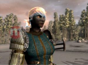 Kolekcja Wszech Czas Neverwinter Nights PC 11