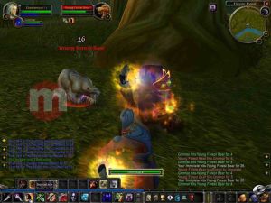 World of Warcraft BattleChest PC 5