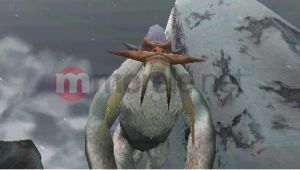 Monster Hunter Freedom Unite 13