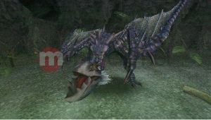 Monster Hunter Freedom Unite 6