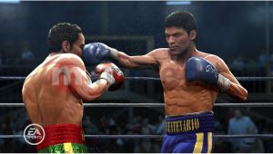 Fight Night Round 4 Xbox 360 2