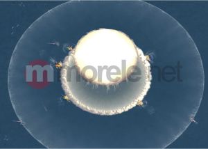 XK Supreme Commander: W obliczu wroga PC 4