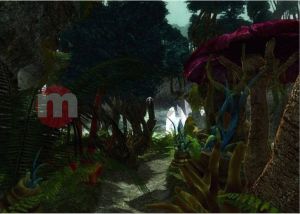 TAC Atlantis Evolution PL PC 8