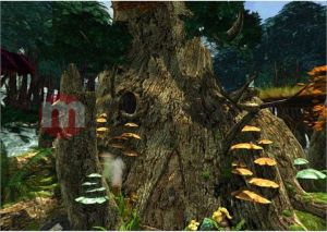 TAC Atlantis Evolution PL PC 9