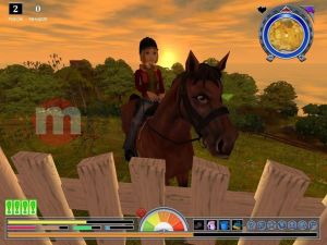 Stajnia Marzen Letnie zawody PC 3