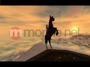 Stajnia Marzen Zimowy Rajd PC 3