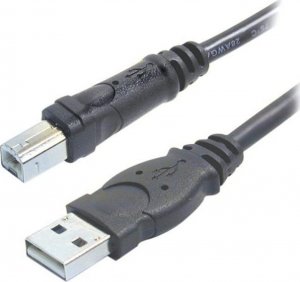 Kabel USB Belkin USB-A - 3 m Czarny (F3U133B10) 1