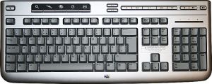 Klawiatura HP HP PS2 US LAYOUT SILVER 2