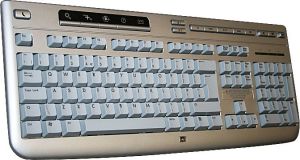 Klawiatura HP HP PS2 US LAYOUT SILVER 3