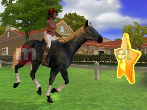 My Horse and Me 2 7