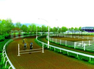 AKADEMIA KONNEJ JAZDY 3D PC 2