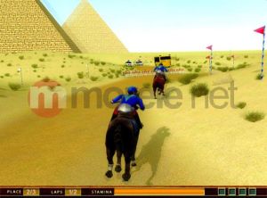 AKADEMIA KONNEJ JAZDY 3D PC 3