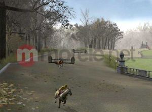 AKADEMIA KONNEJ JAZDY 3D PC 5