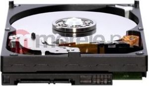 Dysk WD AV-GP 500 GB 3.5" SATA II (WD5000AVDS) 2