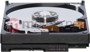 Dysk WD Caviar Green 1 TB 3.5" SATA II (WD10EARS) 2