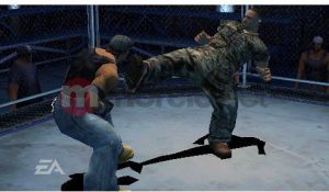 Def Jam Fight for NY: Takeover 2