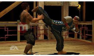 Def Jam Fight for NY: Takeover 5