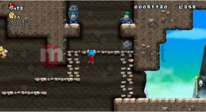 Super Mario Bros Wii U 15