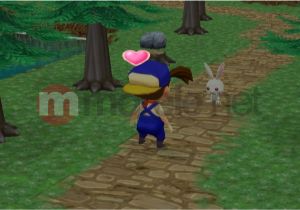 Harvest Moon: Magical Melody Wii U 6