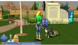 The Sims 2 Zwierzaki 11