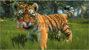 Kinectimals PL Xbox 360 3