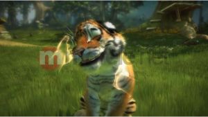 Kinectimals PL Xbox 360 7