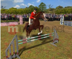 ZZNP Konie i Kucyki Najlepsi Przyjaciele PC 2