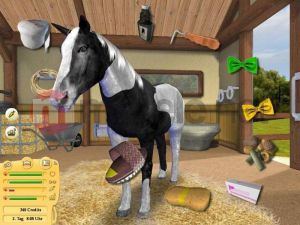 ZZNP Konie i Kucyki Najlepsi Przyjaciele PC 3