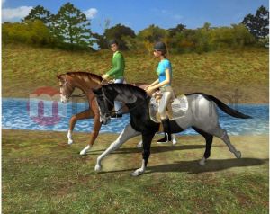 ZZNP Konie i Kucyki Najlepsi Przyjaciele PC 4