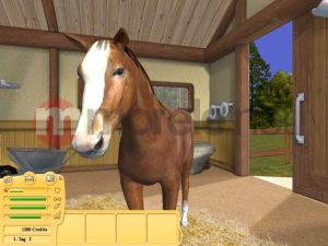 ZZNP Konie i Kucyki Najlepsi Przyjaciele PC 5