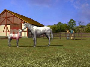 ZZNP Konie i Kucyki Najlepsi Przyjaciele PC 6