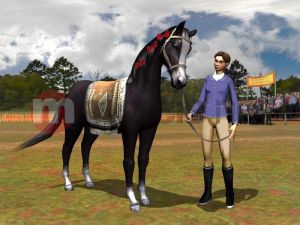 ZZNP Konie i Kucyki Najlepsi Przyjaciele PC 7