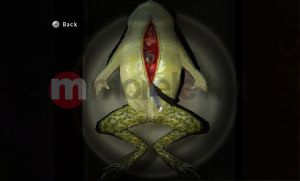 Silent Hill: Shattered Memories 9