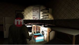 Silent Hill: Shattered Memories 8