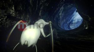 Half-Life 2 The Orange Box Xbox 360 10