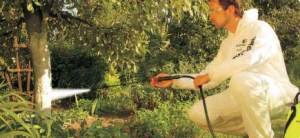 Marolex Opryskiwacz ciśnieniowy Profession Plus 12 (P12PP) 3