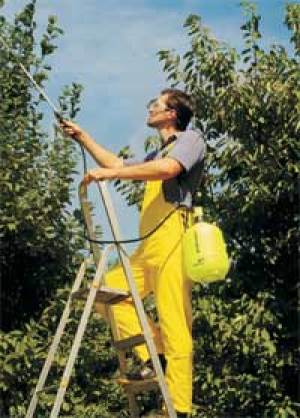 Marolex Opryskiwacz ciśnieniowy Profession 7 7L (P7P) 2