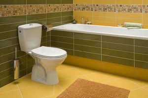 Zestaw kompaktowy WC Koło Idol biały (M13201000) 2