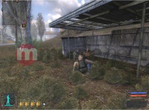 NTS S.T.A.L.K.E.R.: Cień Czarnobyla PC 15