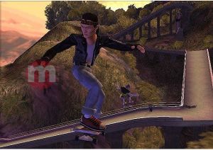 Tony Hawk Downhill Jam 10