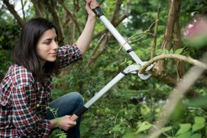 Sekator Fiskars L109 kowadełkowy 3