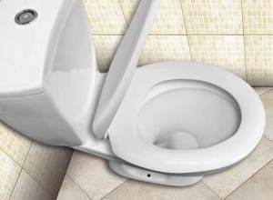 Deska sedesowa ESTIVA Estiva wolnoopadająca biała (ESTIVA) 5