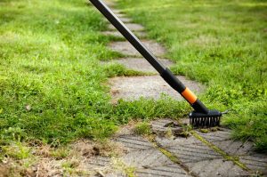 Fiskars Szczotka QuickFit do zamiatania chodnika (135522) 3