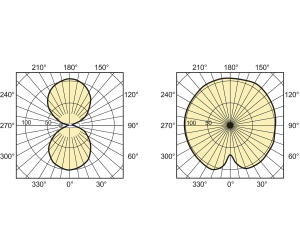 Philips Lampa sodowa Master Son-T Pia Plus E27 70W (871150019266015) 9