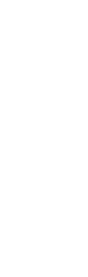 Neo Grzechotka z uchwytem teleskopowym 1/2" 305-445mm (08-515) 2