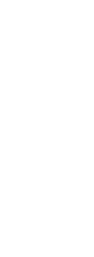 Neo Klucz do rur typ "S" 330mm 1" (02-121) 3