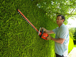 Black&Decker Nożyce do żywopłotu GT 5560 550W 60cm (GT5560) 3