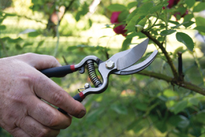 Sekator Pro-Line 40012 nożycowy 2